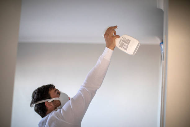 Best Localized Mold Remediation (e.g., coastal areas, humid climates) in Oak Brook, IL
