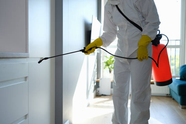 Best Industrial Mold Remediation in Oak Brook, IL