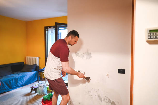 Best Residential Mold Remediation in Oak Brook, IL